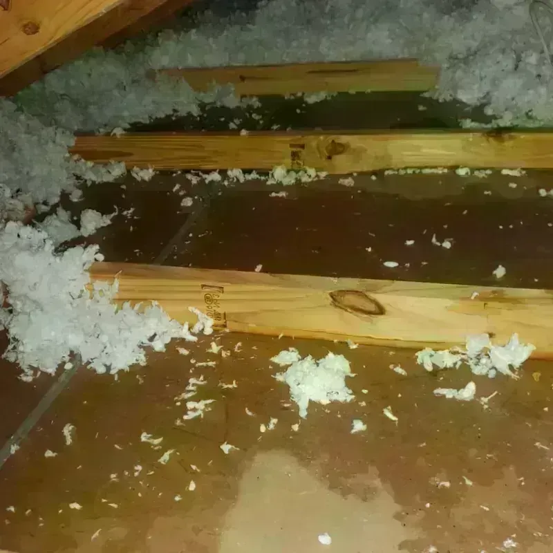 Attic Water Damage in Dexter, MI