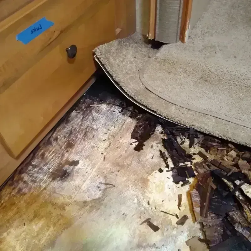 Wood Floor Water Damage in Dexter, MI